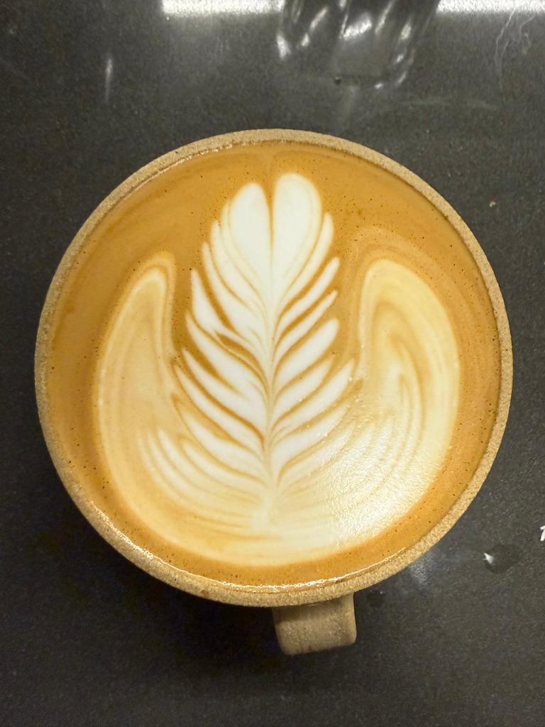 Feathered Fern Drift