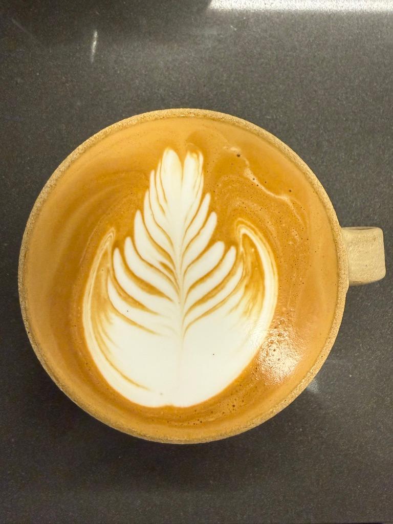 Drifting Fern Leaf