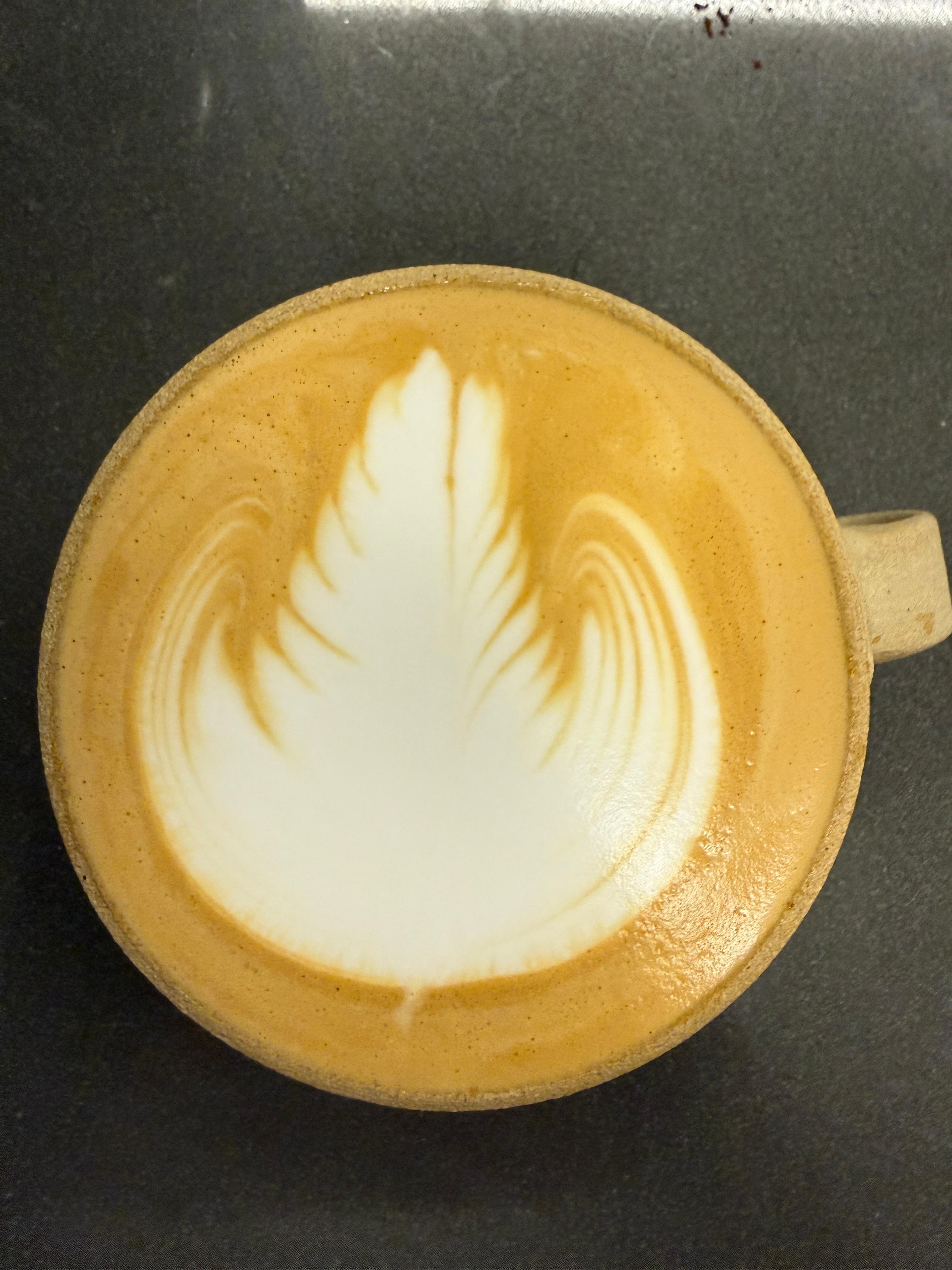 Drifting Fern Ghost