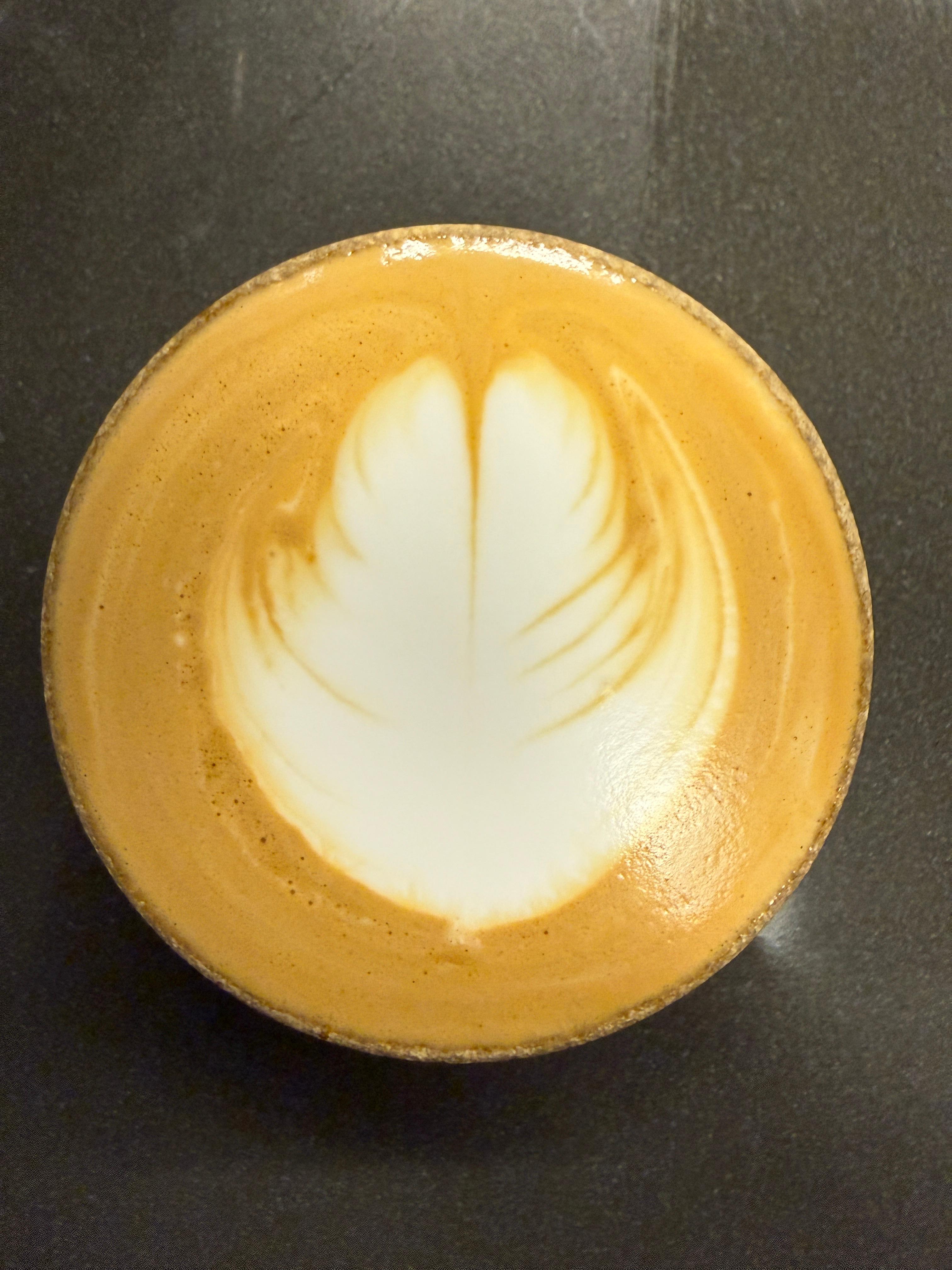Soft Fern Attempt