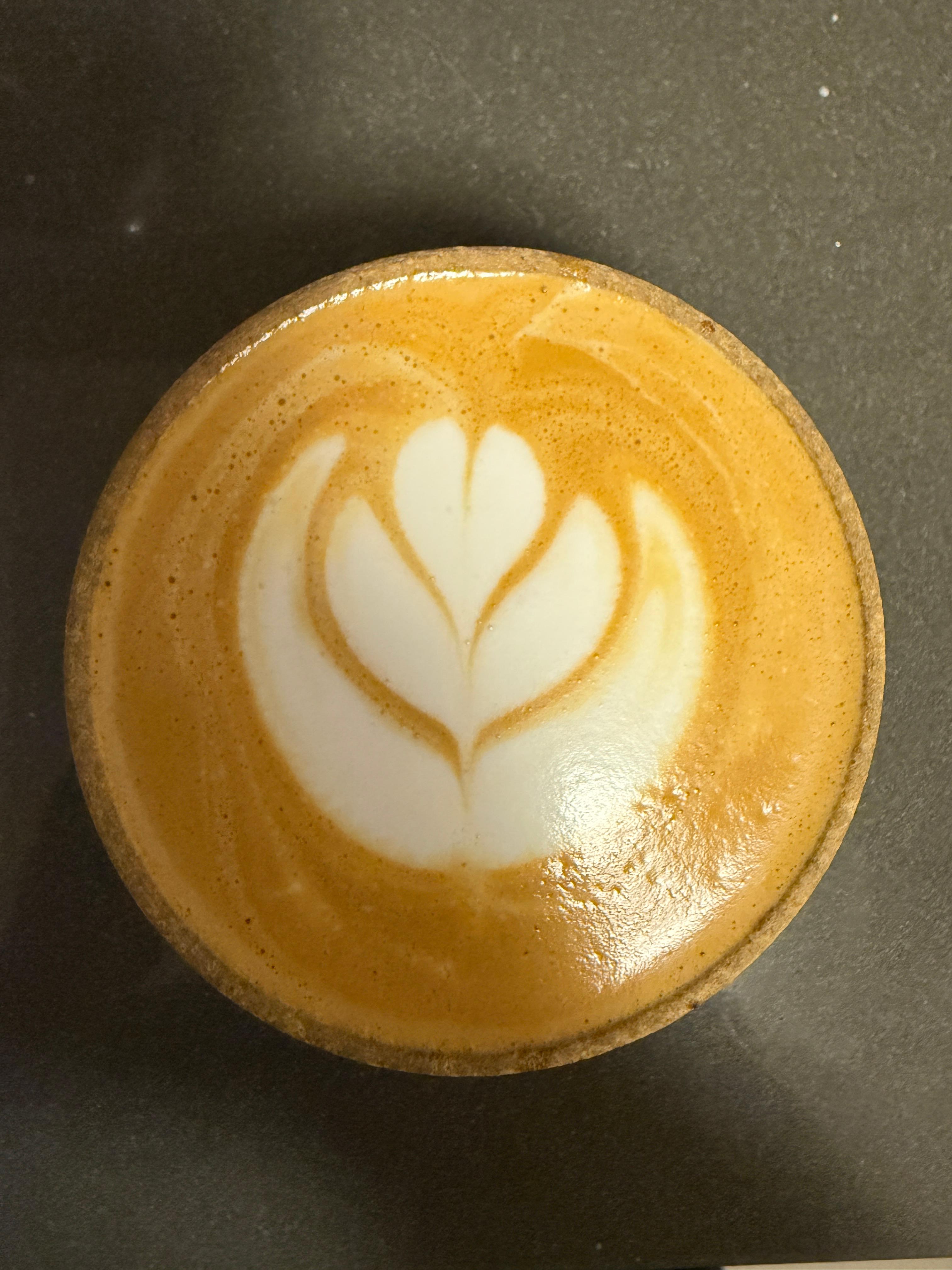 Tilted Tulip Bloom