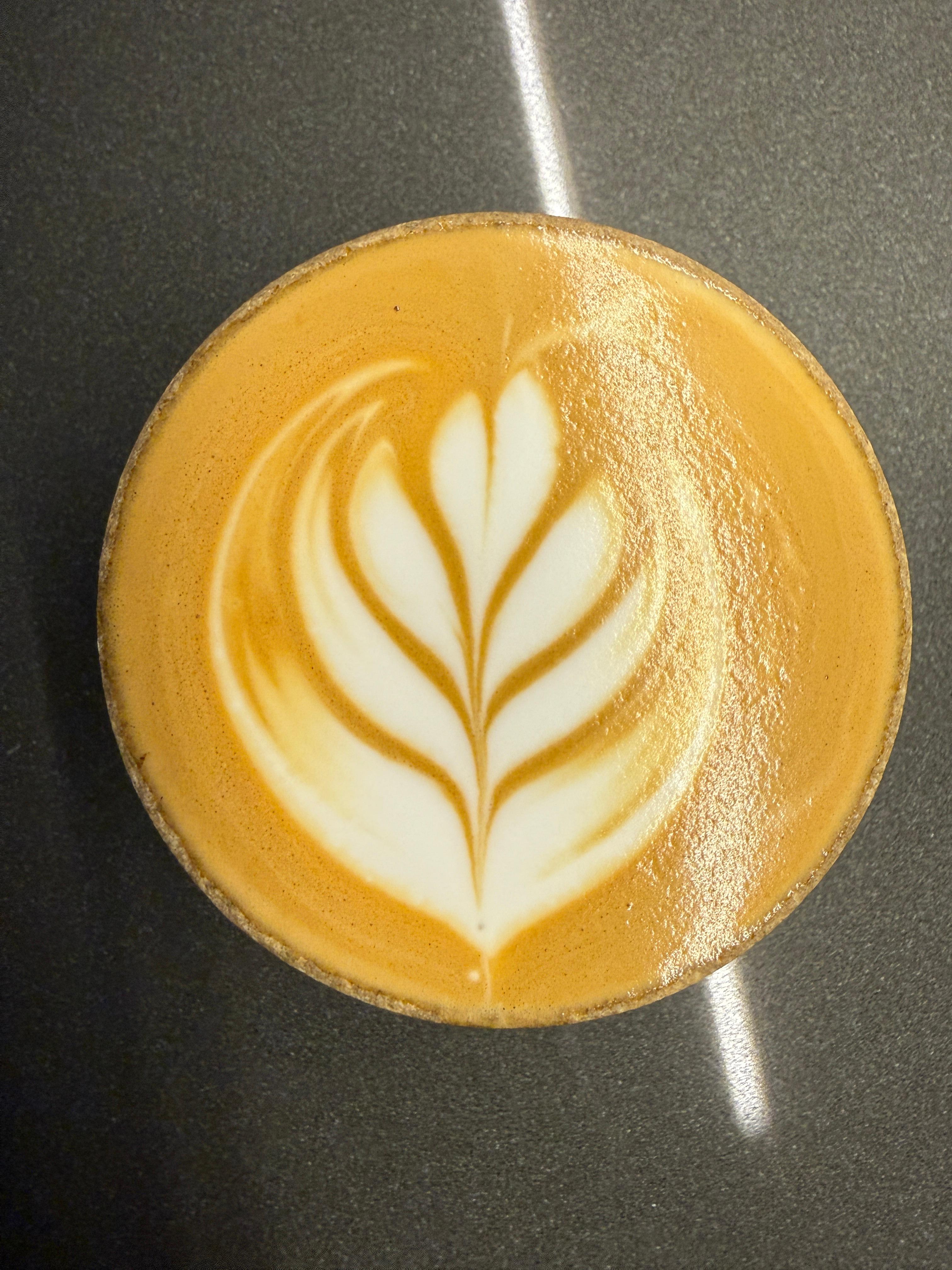 Feathered Tulip Drift