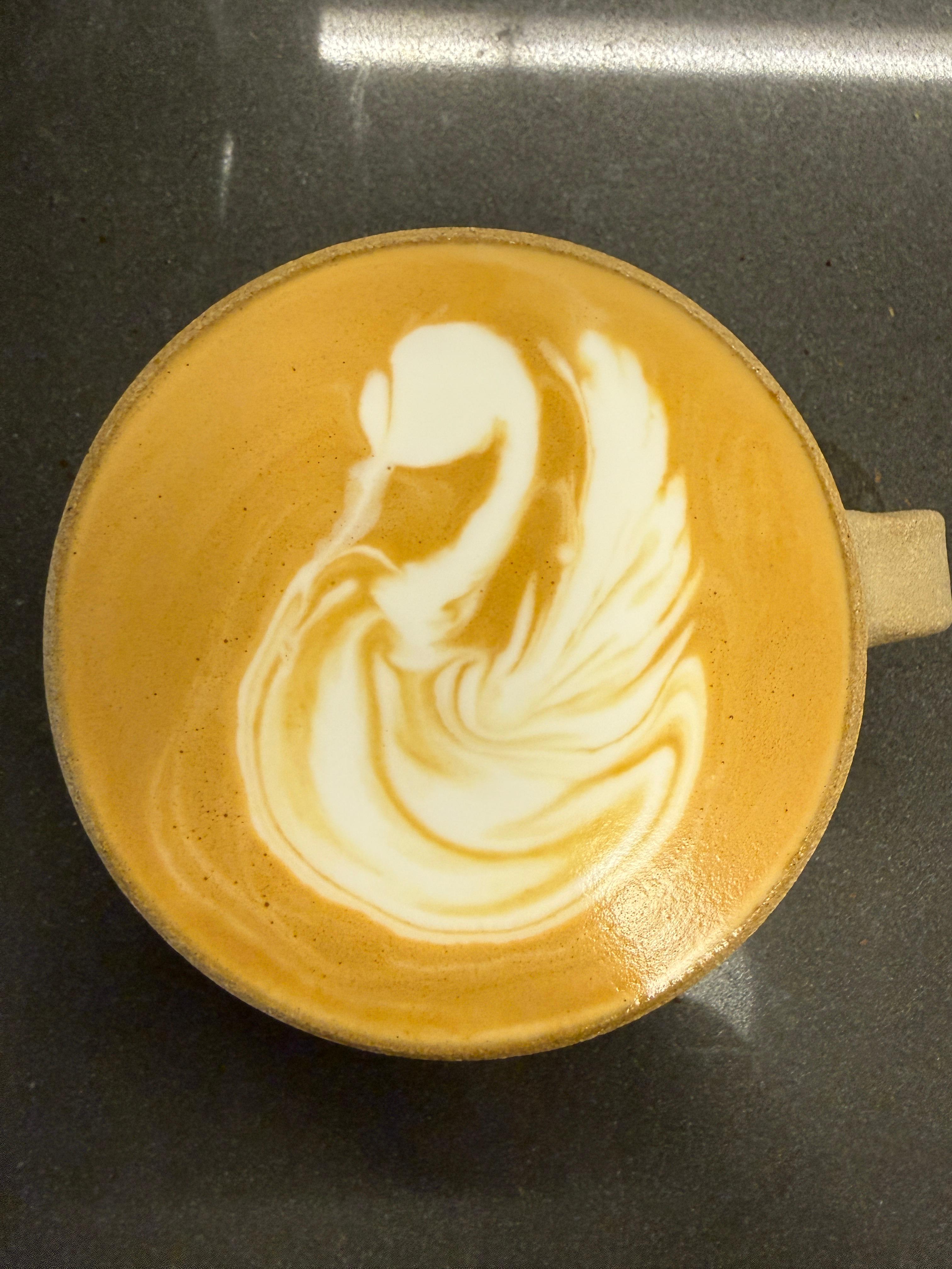 Gliding Swan Dream