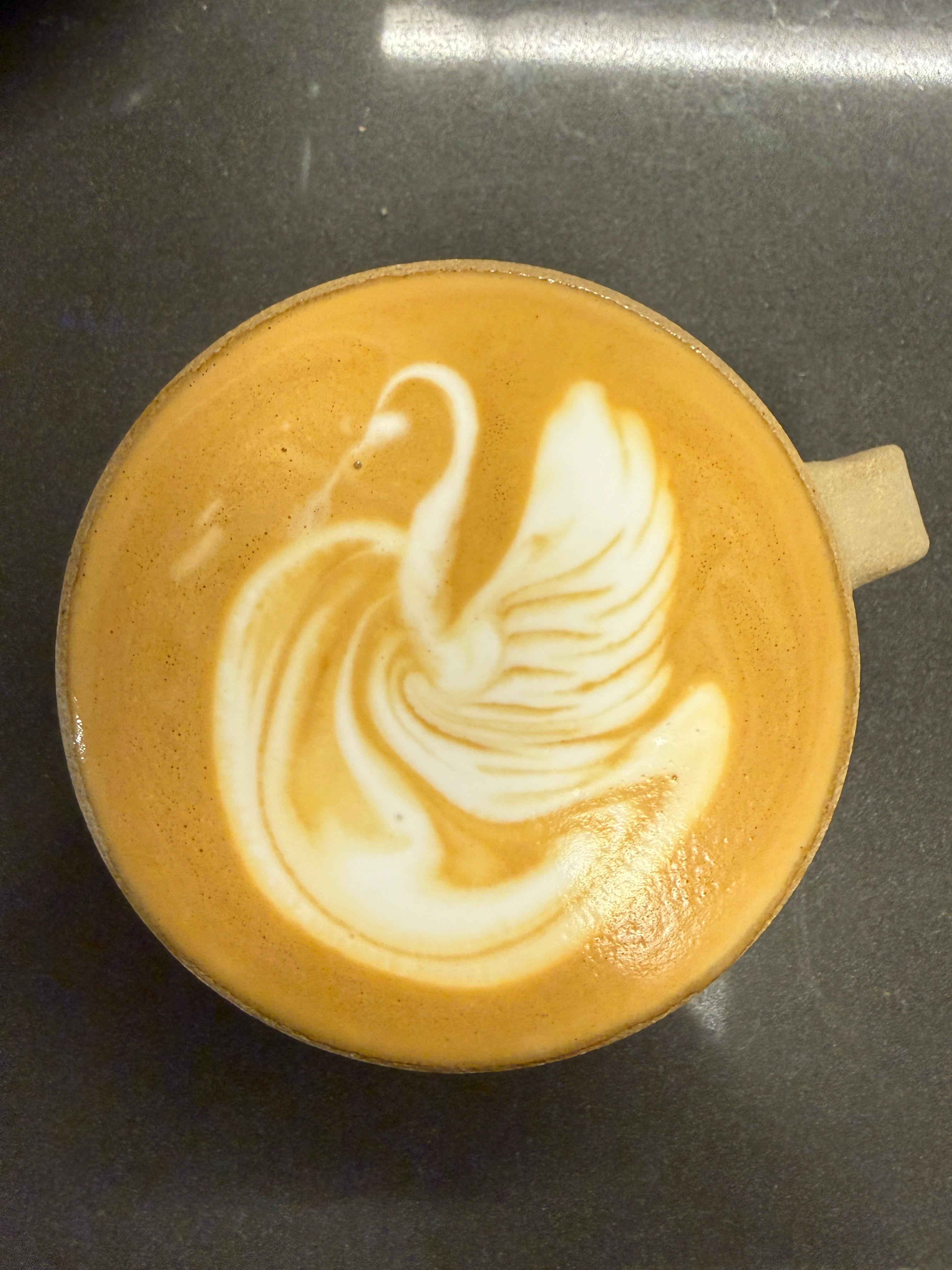 Drifting Swan Song