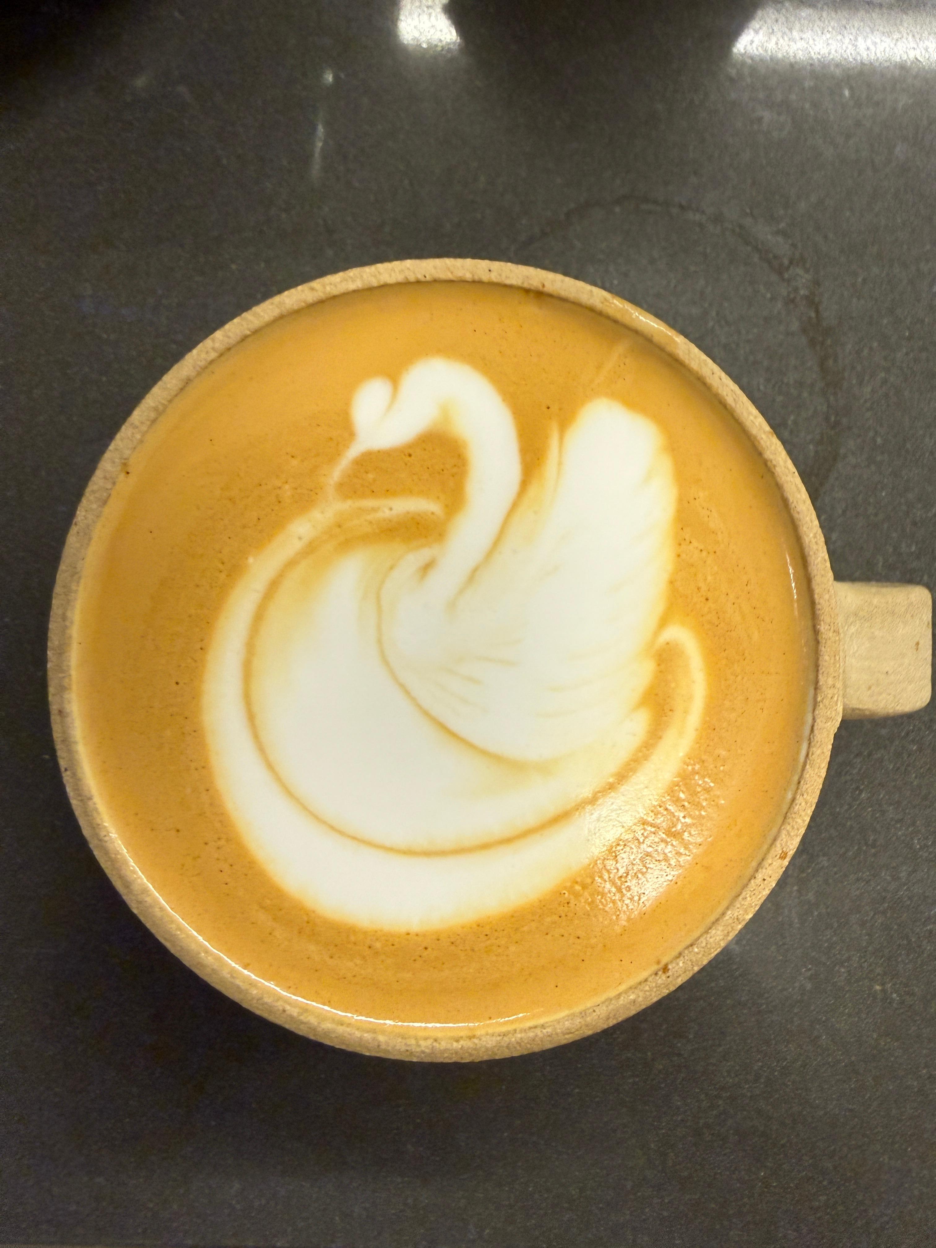 Gliding Milk Swan