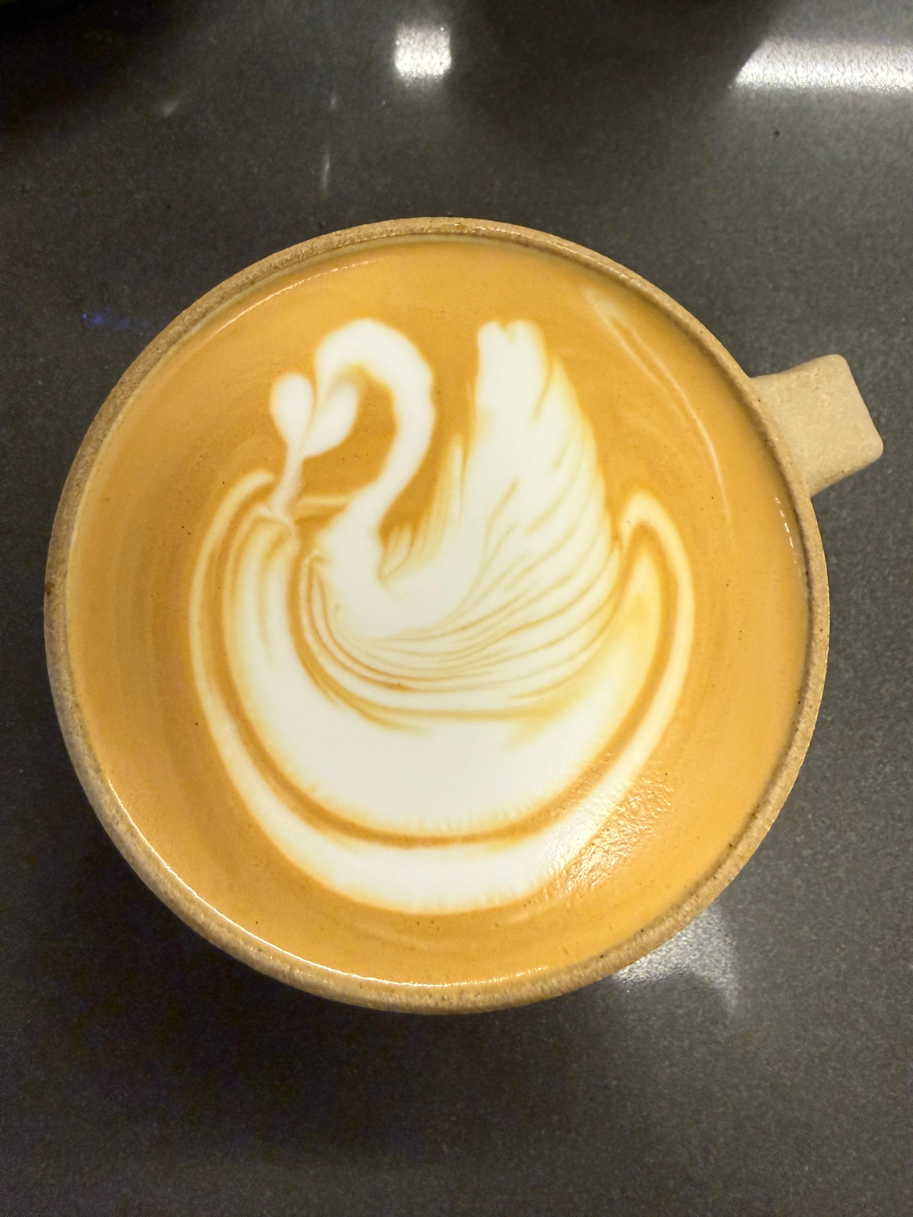 Gliding Milk Swan