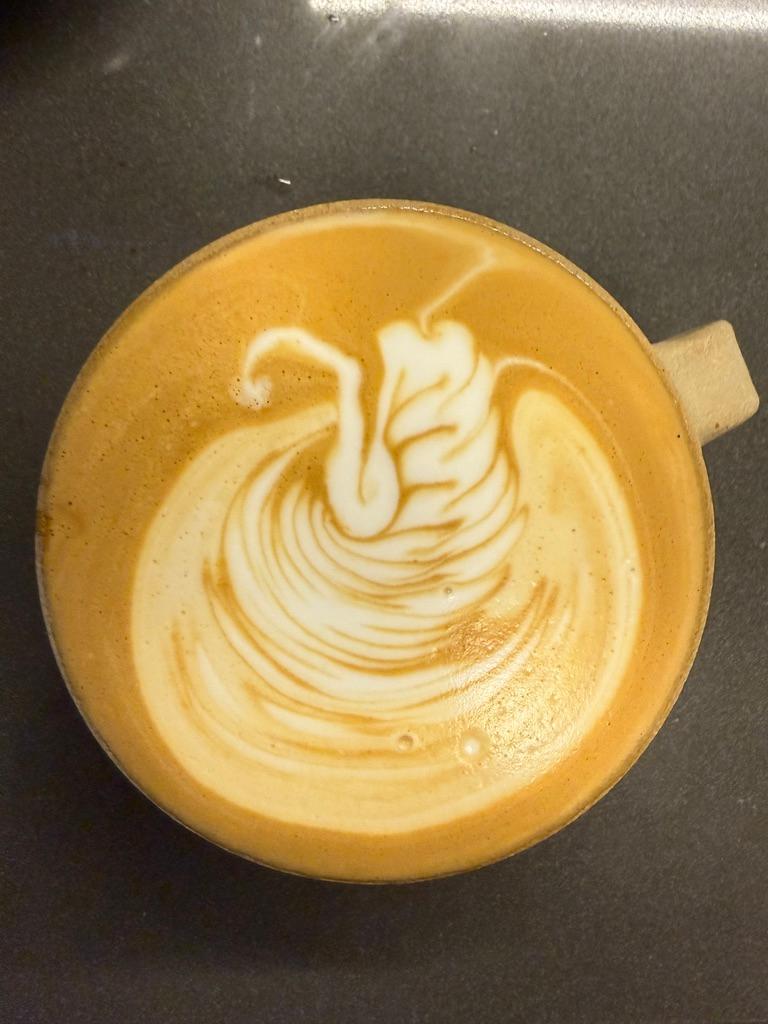 Tangled Swan Drift