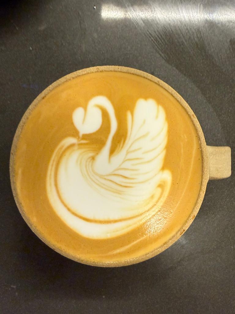 Drifting Swan Song