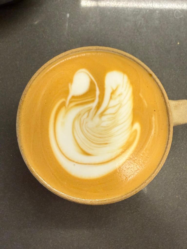 Drifting Swan Song