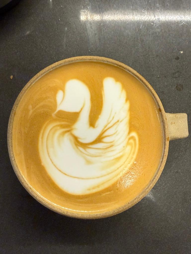 Drifting Swan Song
