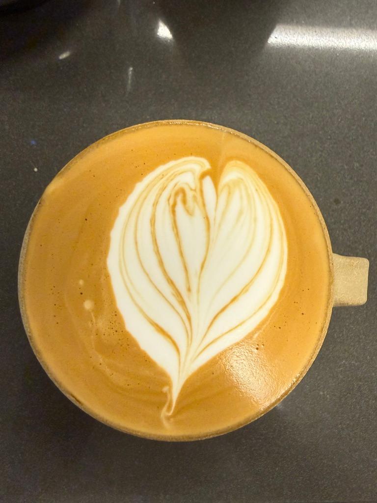 Feathered Tulip Bloom