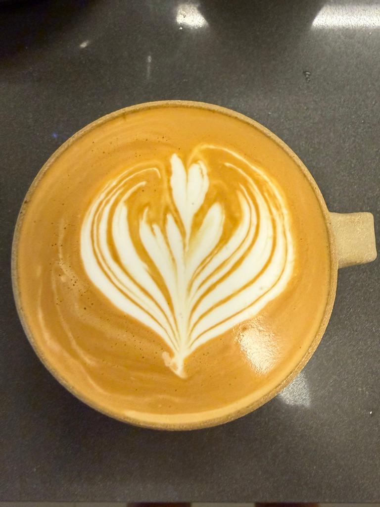 Feathered Tulip Bloom