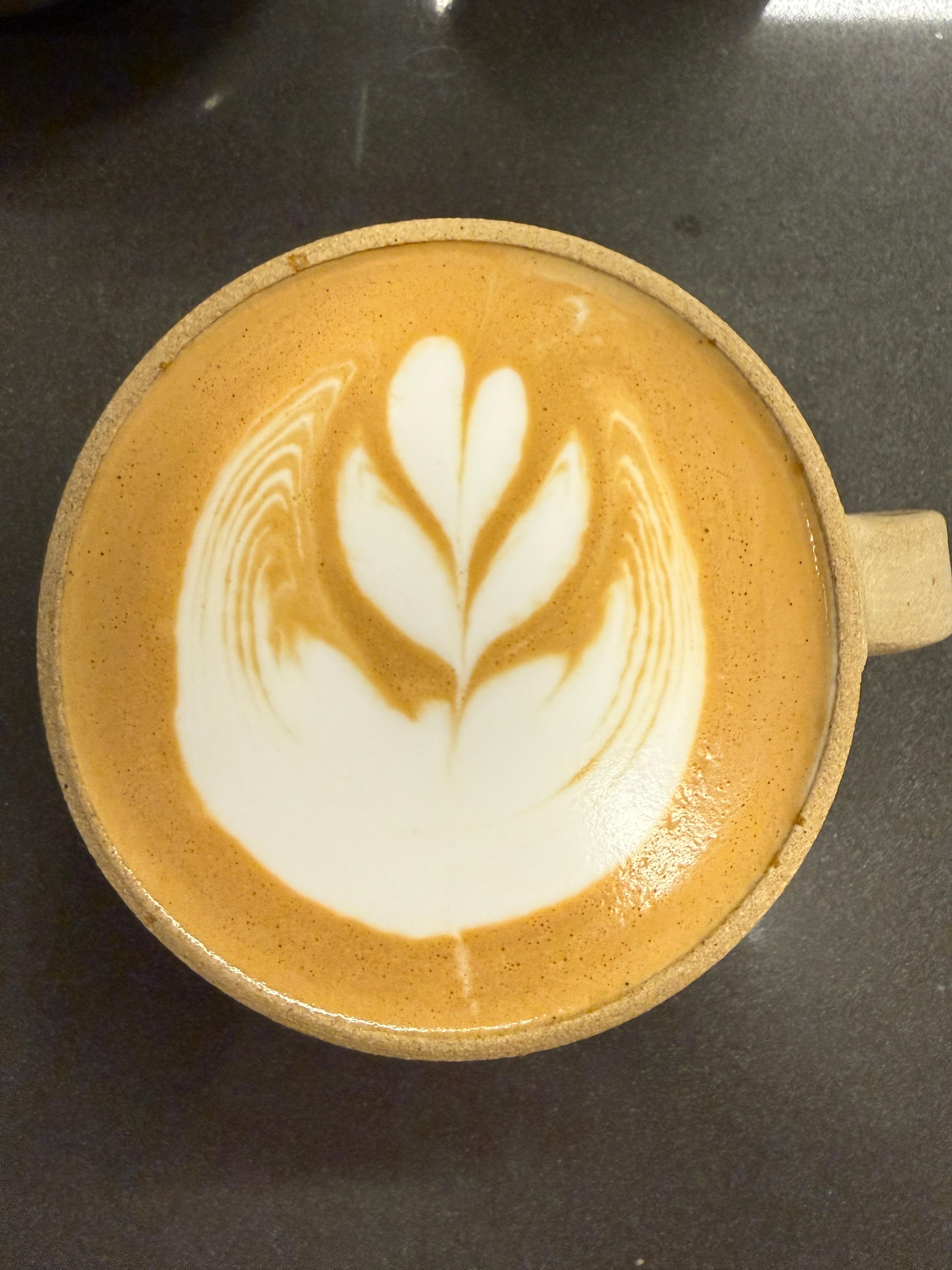 Rippled Tulip Bloom