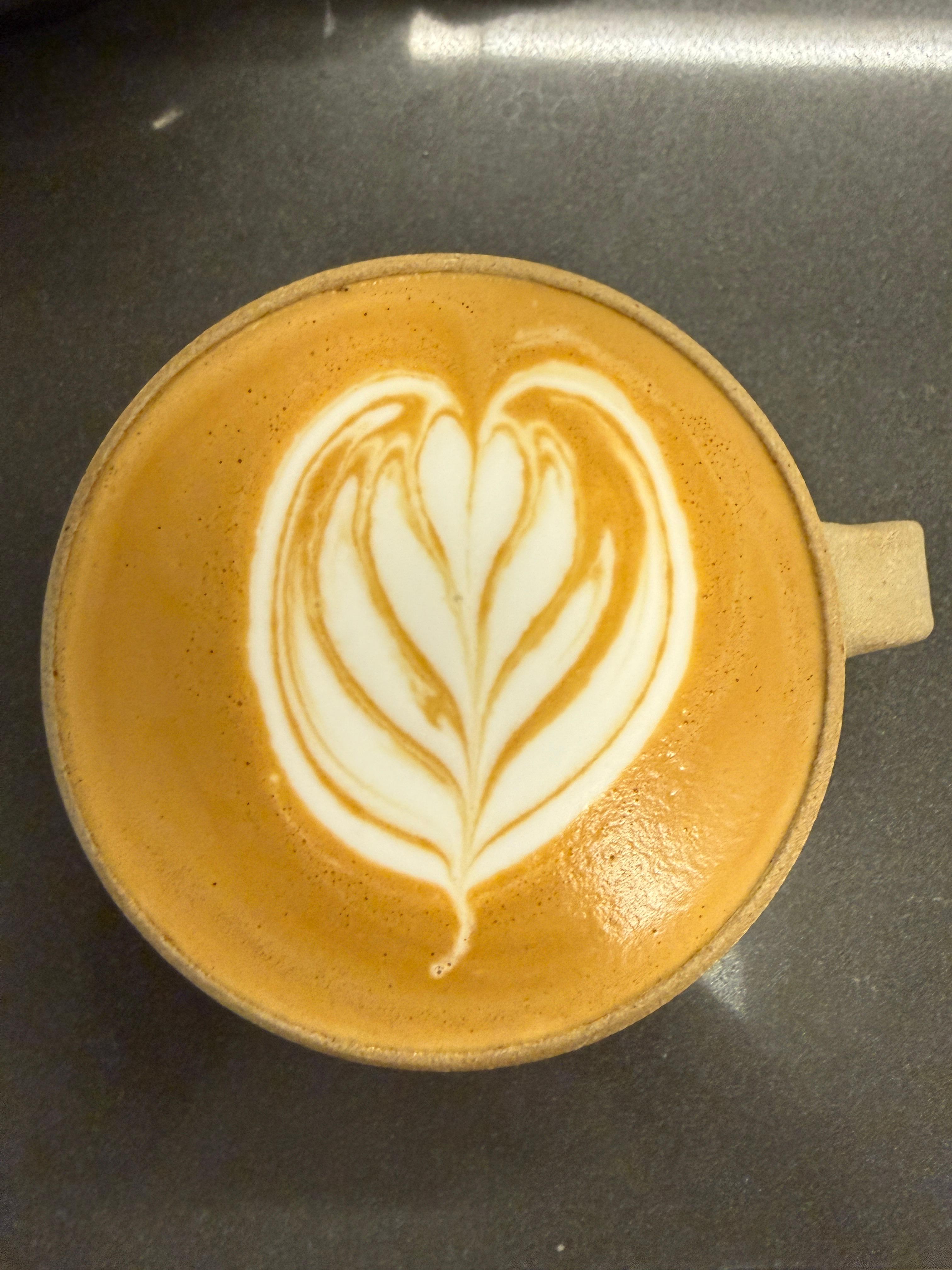 Feathered Tulip Bloom