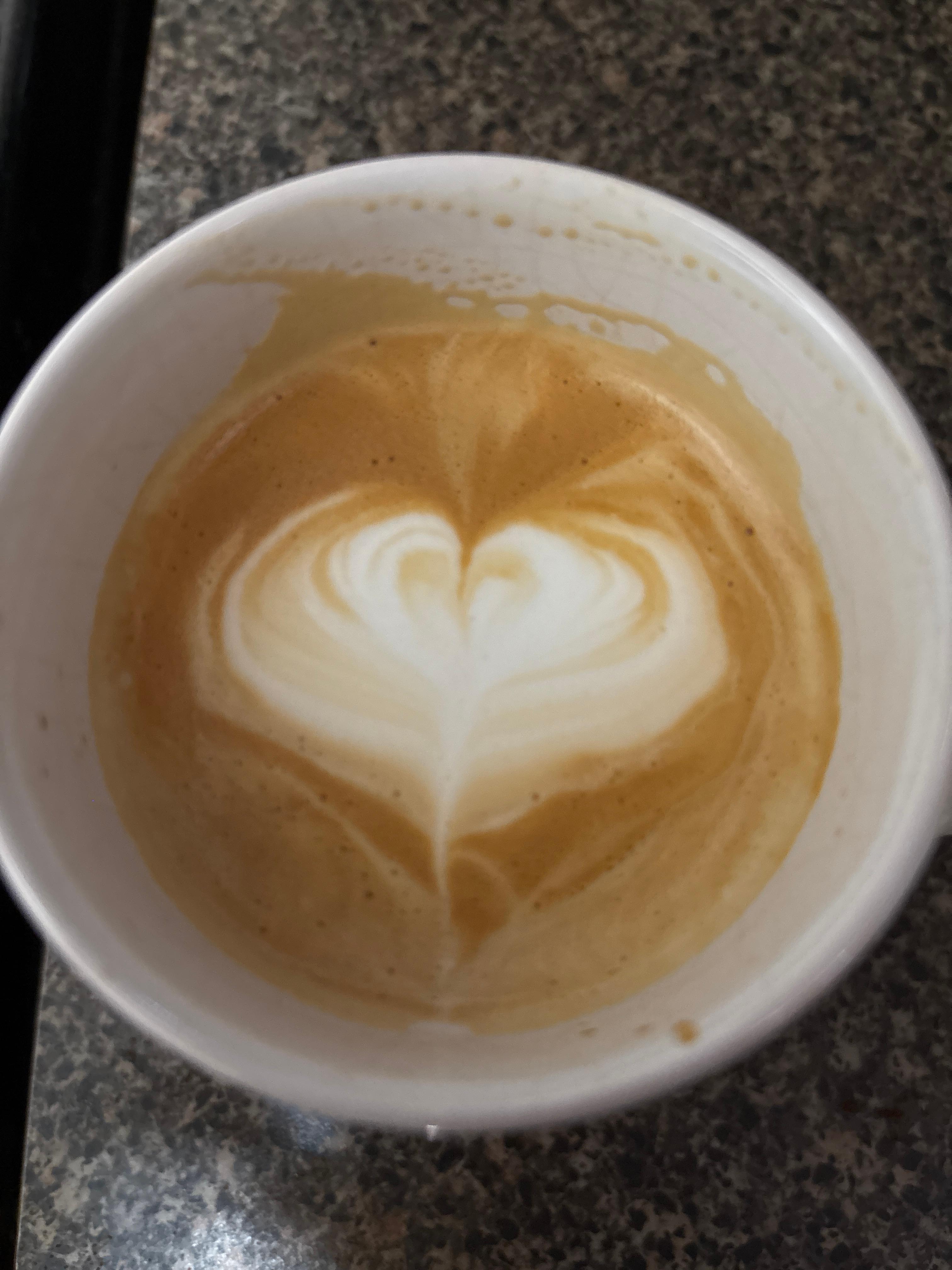 Feathered Fallen Heart